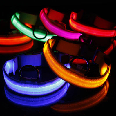 LED Adjustable Dog Collar Blinking Flashing Light Up Glow Pets Safety Waterproof - Pawfect Co.