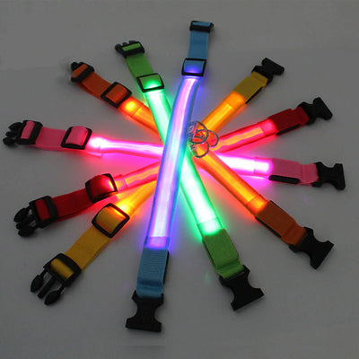 LED Adjustable Dog Collar Blinking Flashing Light Up Glow Pets Safety Waterproof - Pawfect Co.