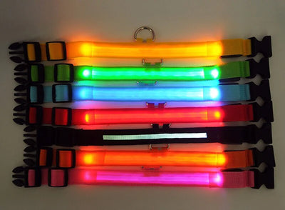 LED Adjustable Dog Collar Blinking Flashing Light Up Glow Pets Safety Waterproof - Pawfect Co.