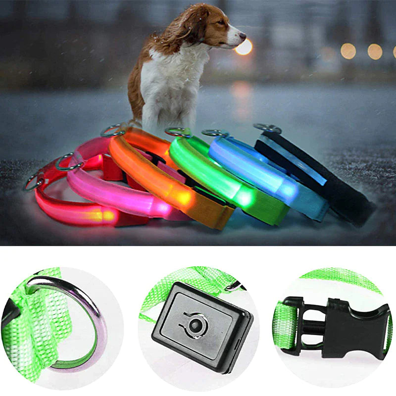 LED Adjustable Dog Collar Blinking Flashing Light Up Glow Pets Safety Waterproof - Pawfect Co.