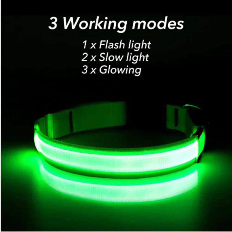 LED Adjustable Dog Collar Blinking Flashing Light Up Glow Pets Safety Waterproof - Pawfect Co.