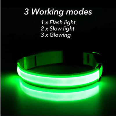 LED Adjustable Dog Collar Blinking Flashing Light Up Glow Pets Safety Waterproof - Pawfect Co.