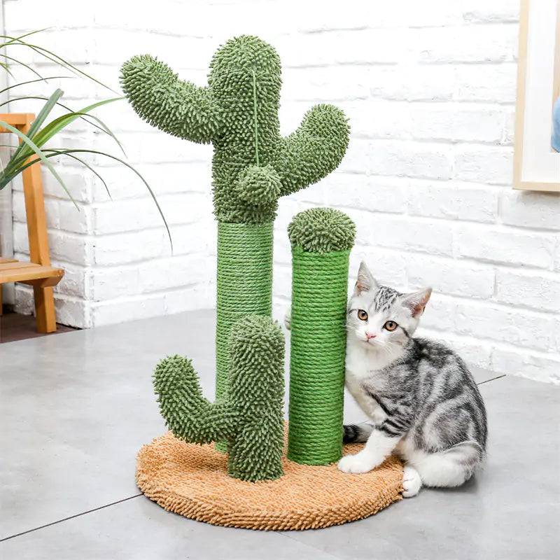 Cat Scratching Cactus