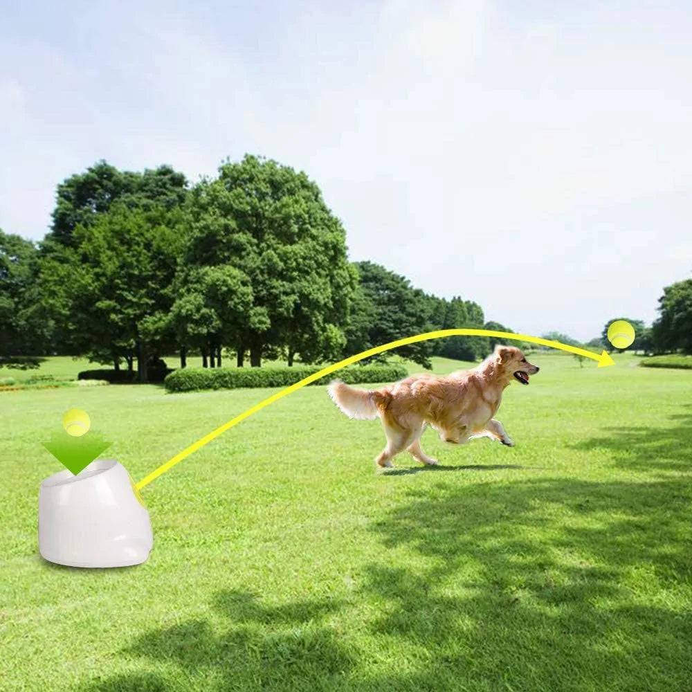 Hyper Fetch Auto-Ball launcher