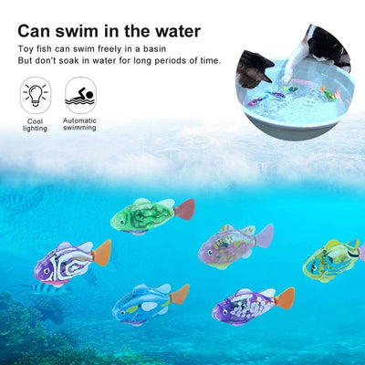 Interactive fish Cat Toy