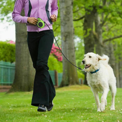 16ft Automatic Retractable dog Leash