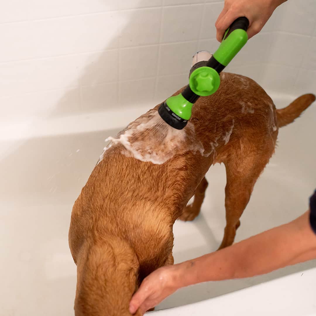 Dog Bath Shower head Sprayer