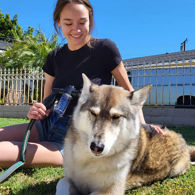 Dog Bath Shower head Sprayer