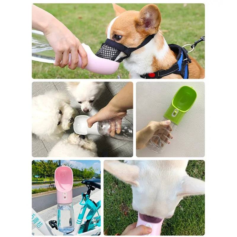 Portable dog travel water bottle feeder