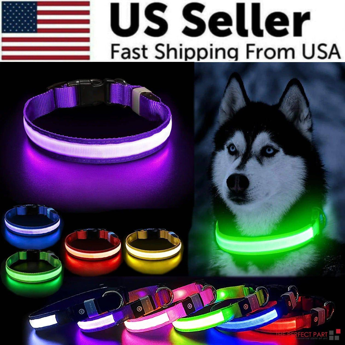 BrightLed Waterproof Safety Dog Collar