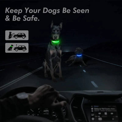 BrightLed Waterproof Safety Dog Collar