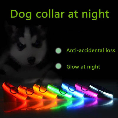 BrightLed Waterproof Safety Dog Collar