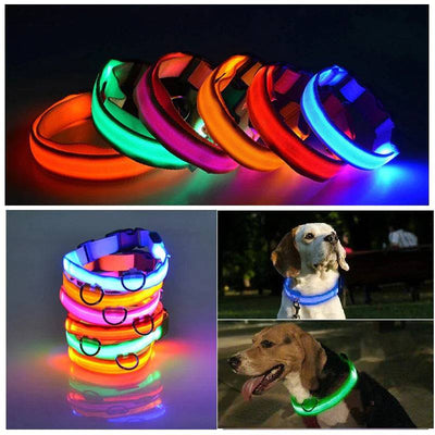 BrightLed Waterproof Safety Dog Collar