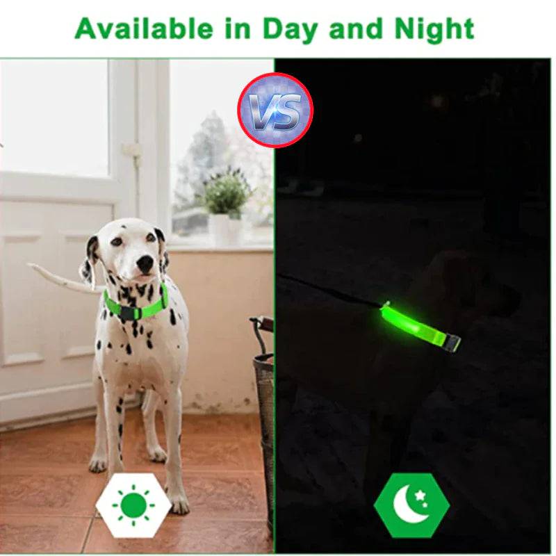 BrightLed Waterproof Safety Dog Collar