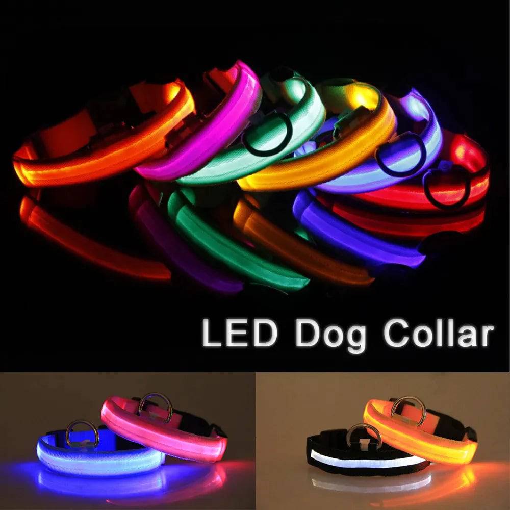 BrightLed Waterproof Safety Dog Collar