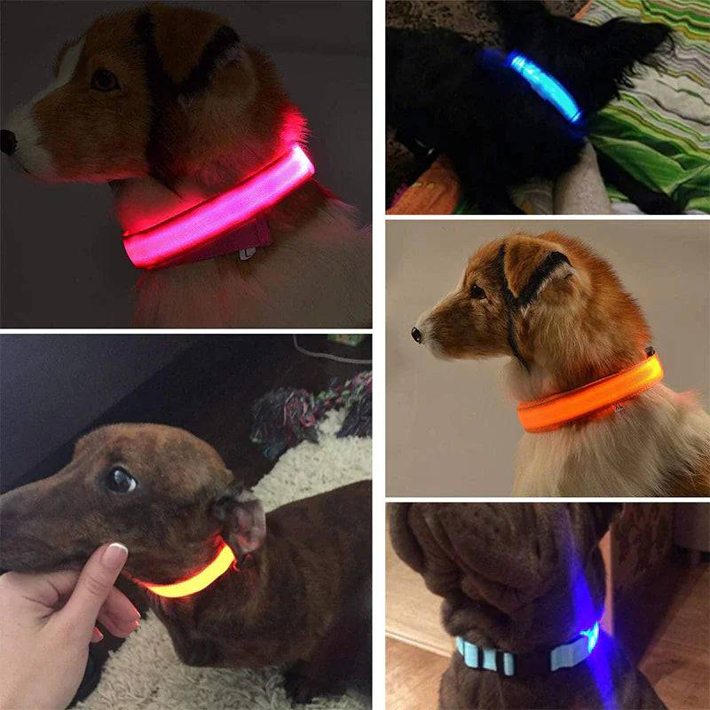 BrightLed Waterproof Safety Dog Collar