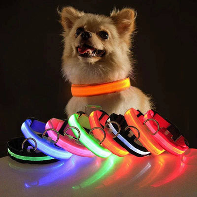 BrightLed Waterproof Safety Dog Collar