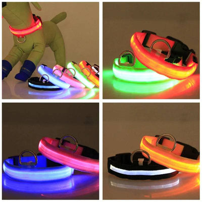 BrightLed Waterproof Safety Dog Collar