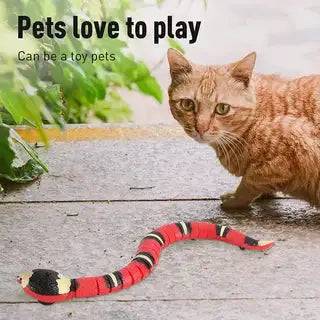 Smart Interactive Snake Cat Toy