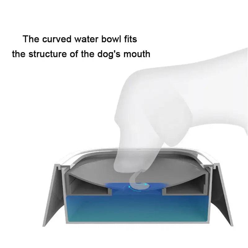 Splash-Free Pet Water Bowl