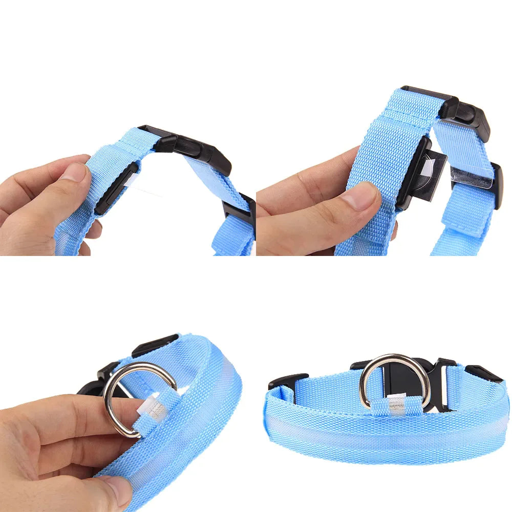 LED Adjustable Dog Collar Blinking Flashing Light Up Glow Pets Safety Waterproof - Pawfect Co.